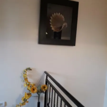 Casa Dadi 4* Konstanca
