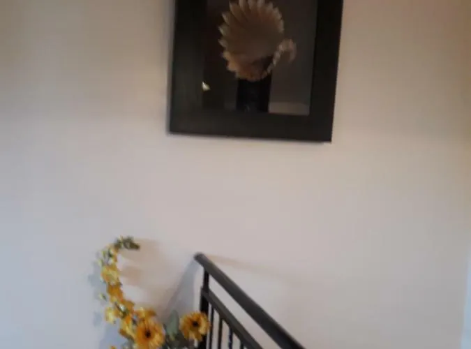 Casa Dadi 3* Constanţa